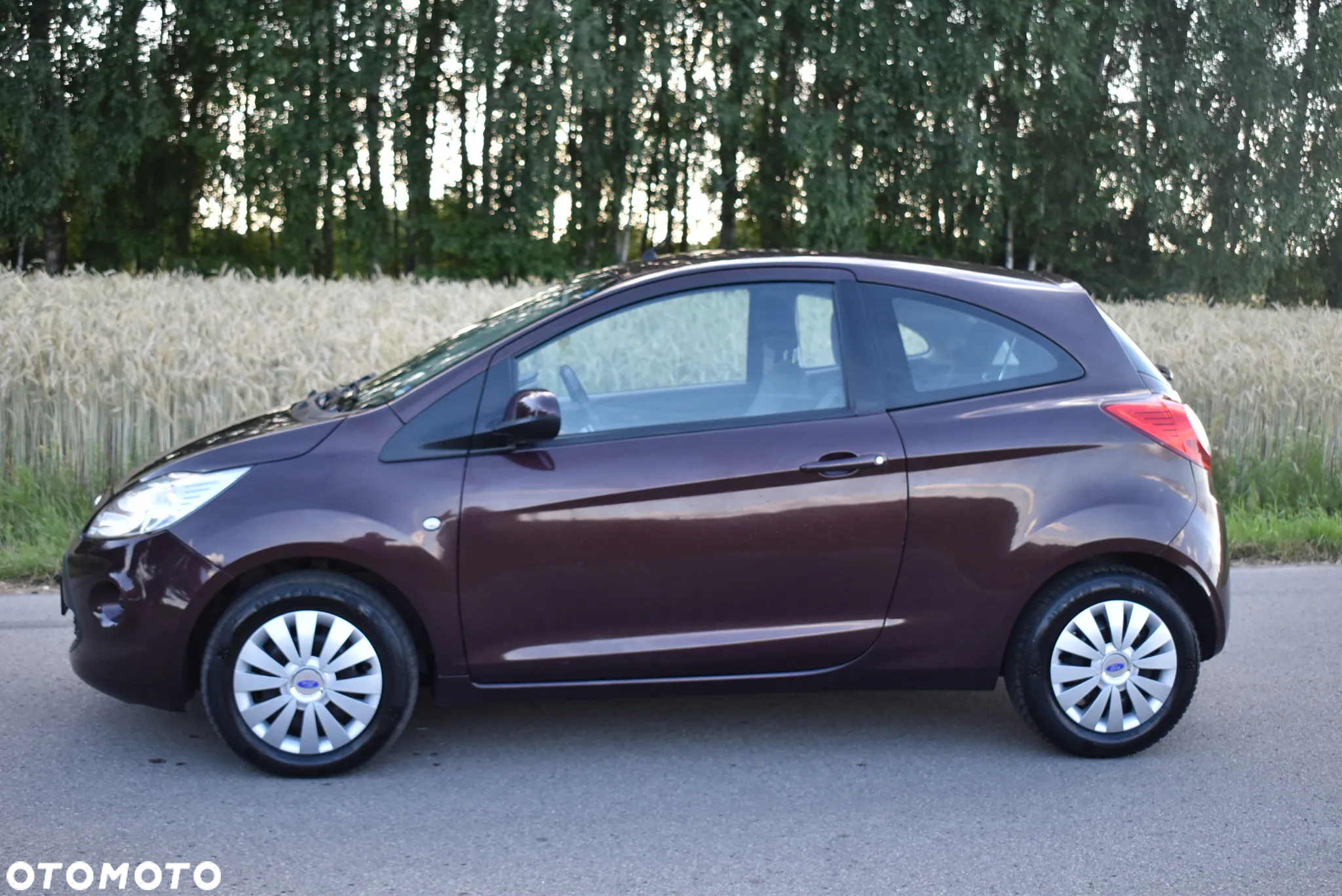 Ford KA - 5