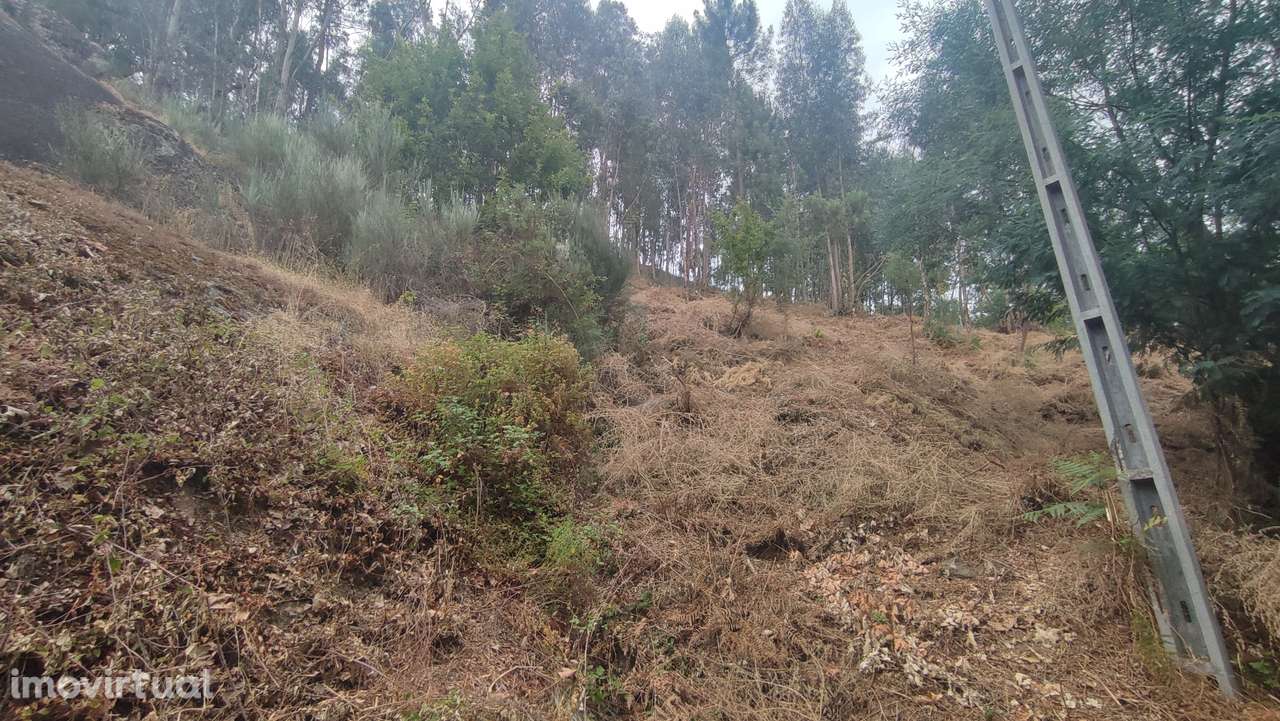 Terreno, 2 200 m², Bouro (Santa Maria) - Grande imagem: 5/8