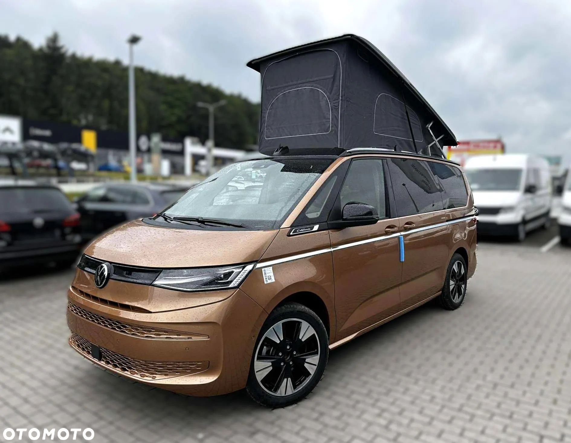Volkswagen California - 1