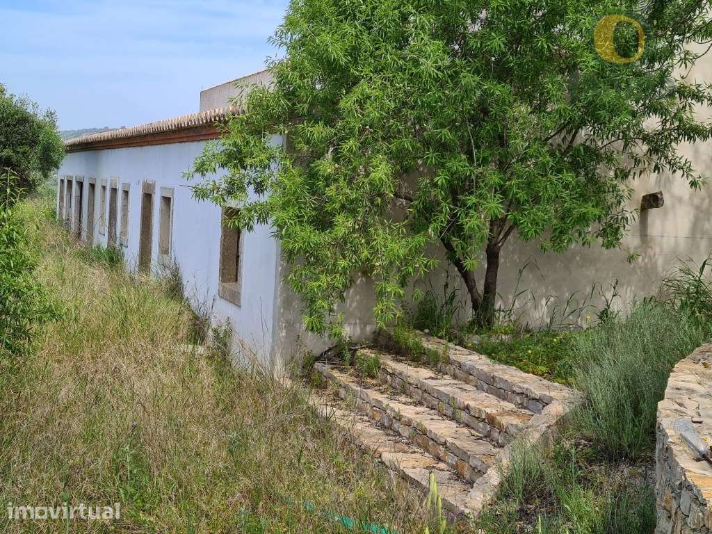Moradia Térrea com 296,80 m2 em terreno de 3 hectares - Grande imagem: 3/10