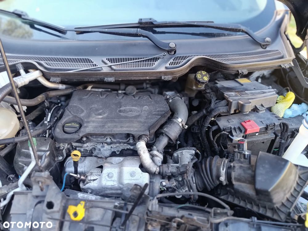 Ford EcoSport 1.5 TDCi ST-Line Black ASS - 15