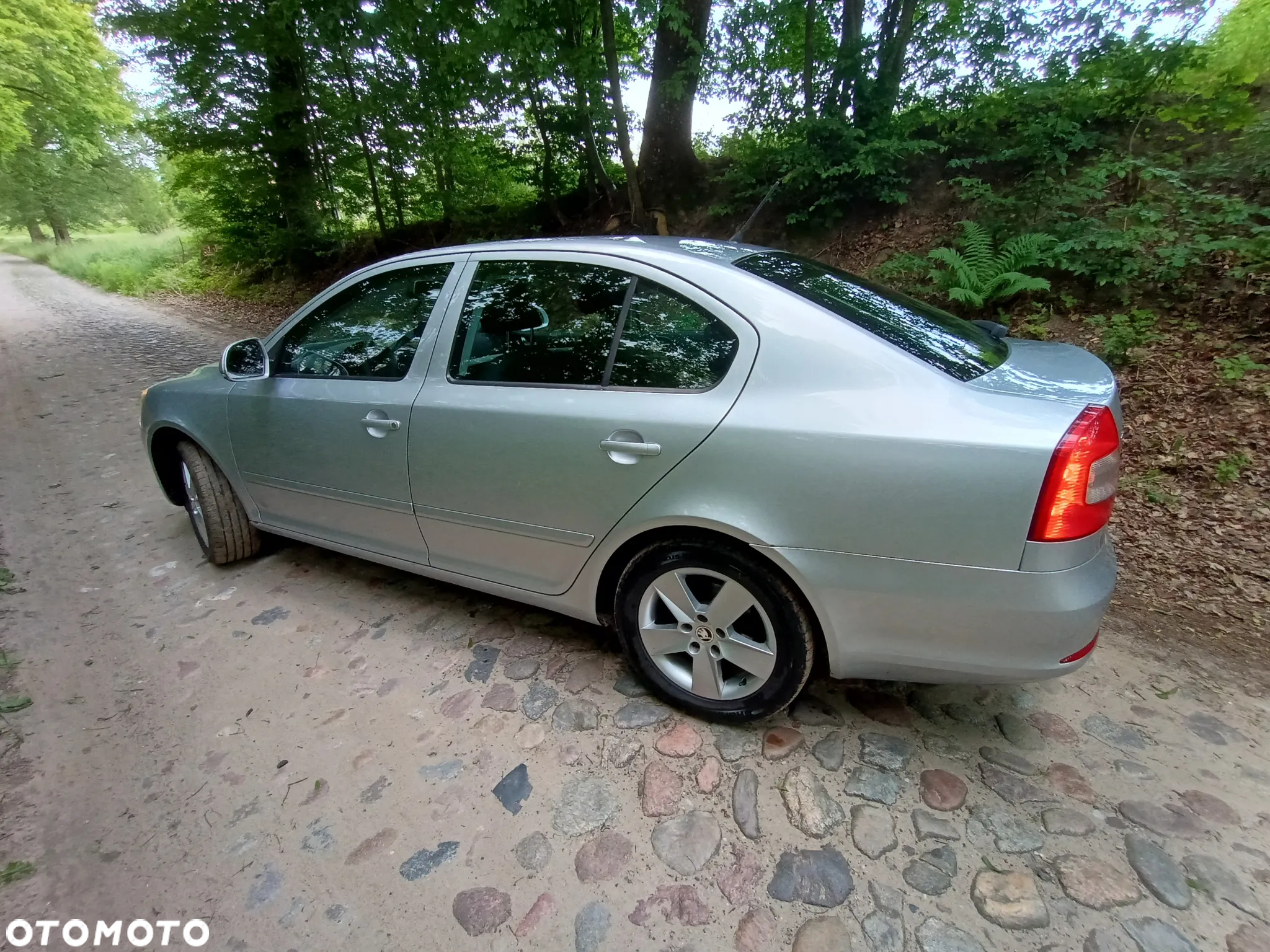 Skoda Octavia - 5