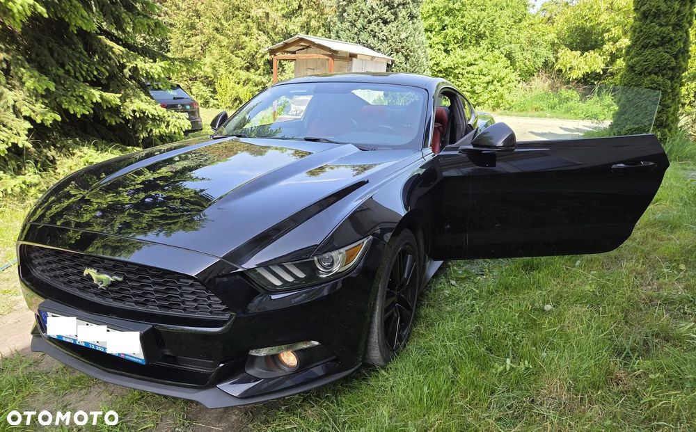 Ford Mustang - 1