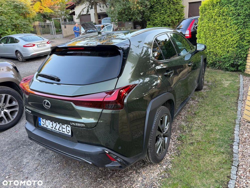 Lexus UX - 7