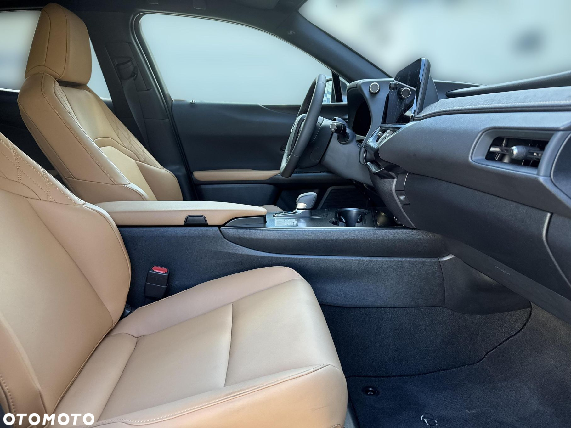 Lexus UX 300h F Sport Design - 9
