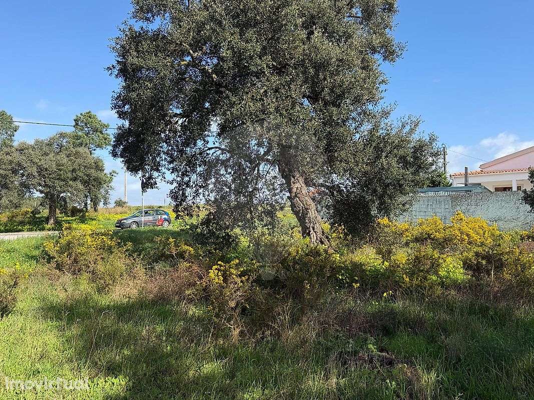 Terreno  para venda - Grande imagem: 3/5