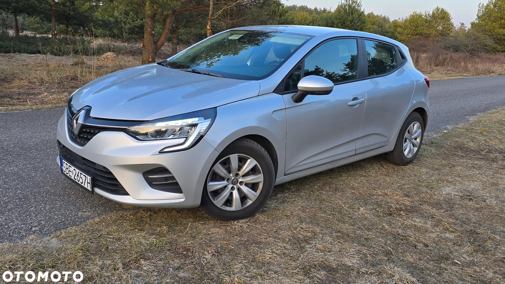 Renault Clio - 11
