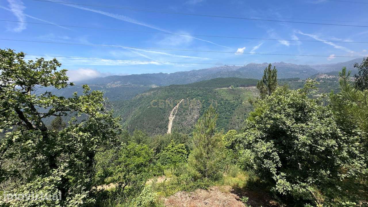 O Refúgio Perfeito no Topo do Gerês: Onde o Silêncio Encontra a Imens - Grande imagem: 3/32