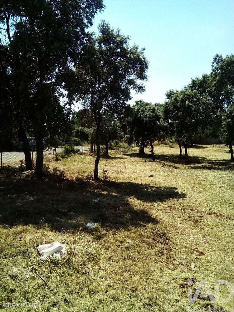 Terreno em Malhou, Louriceira e Espinheiro de 5620,00 m2 - Grande imagem: 3/18