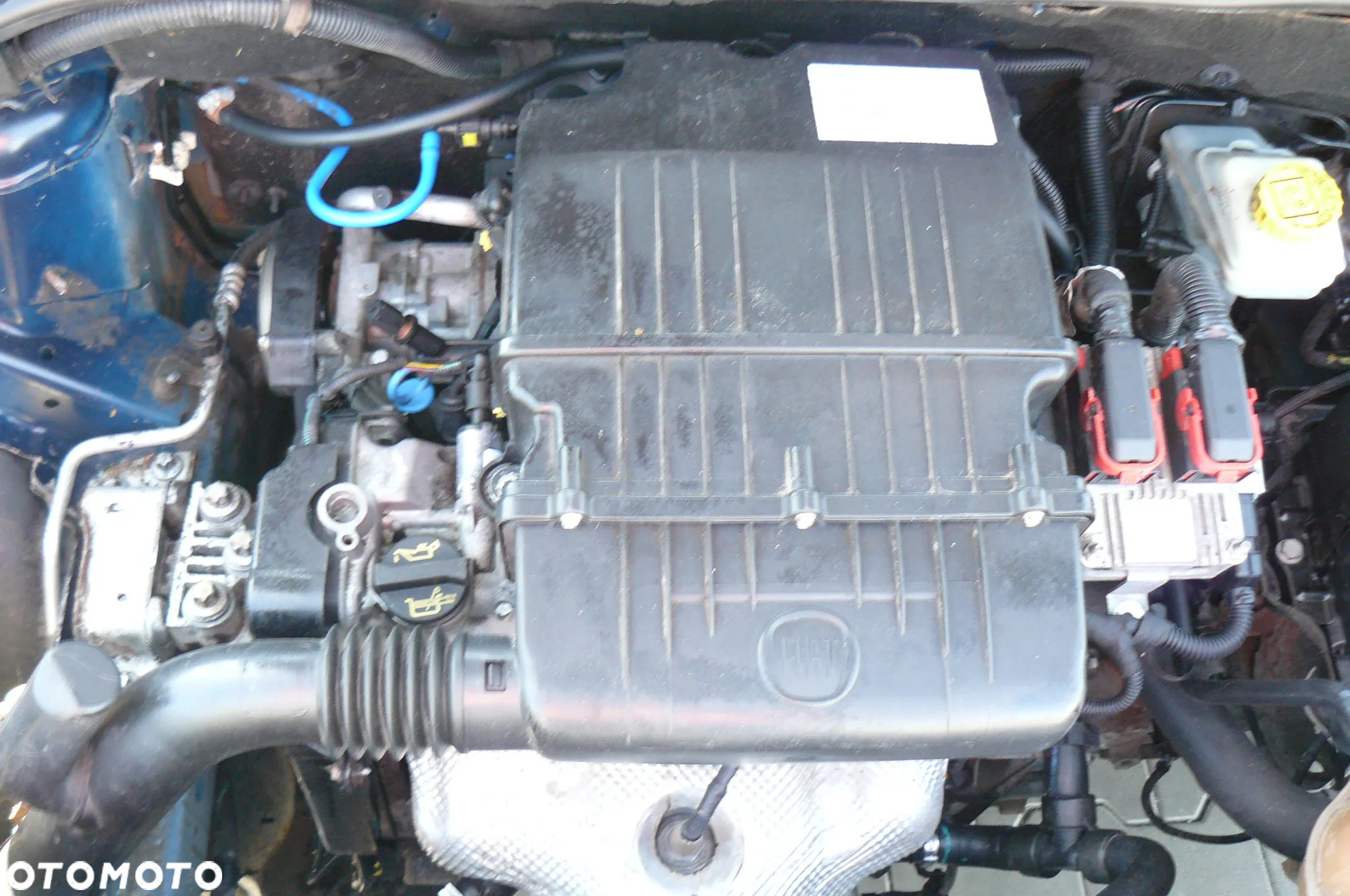 Fiat Punto - 19
