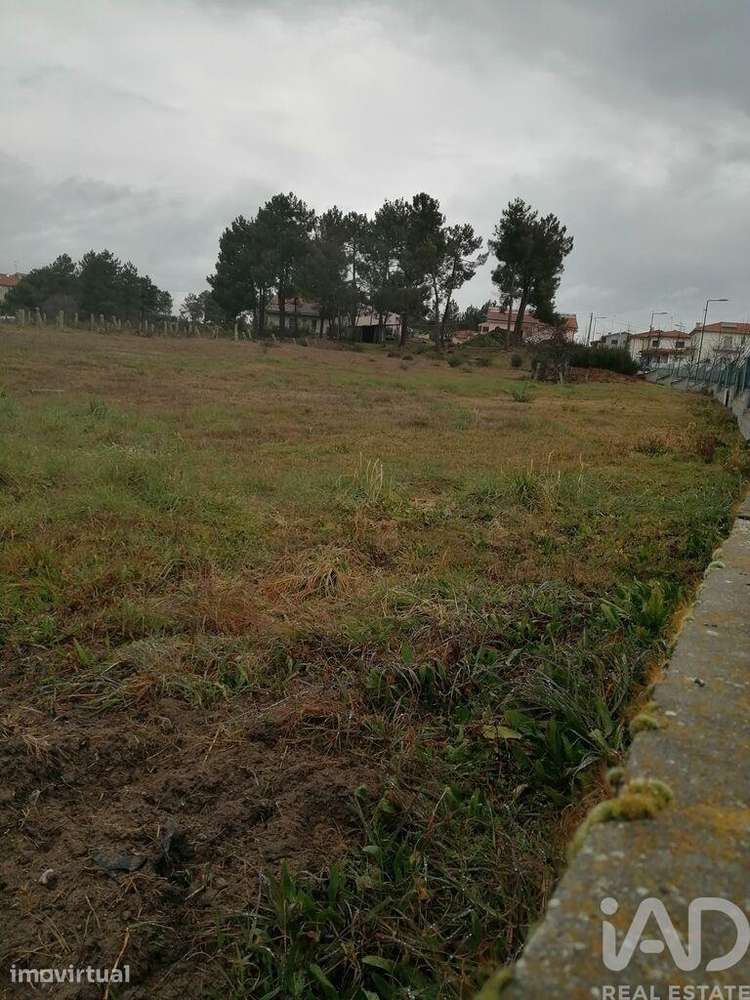 Terreno para construção em Vale de Anta de 9521,00 m2 - Grande imagem: 3/5