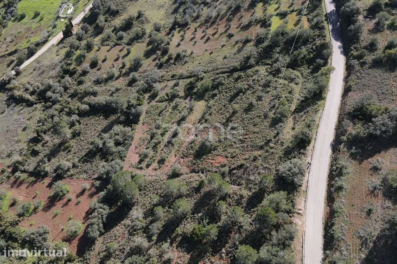 Terreno Rústico com 7.200m2 em Santa Margarida, Alte