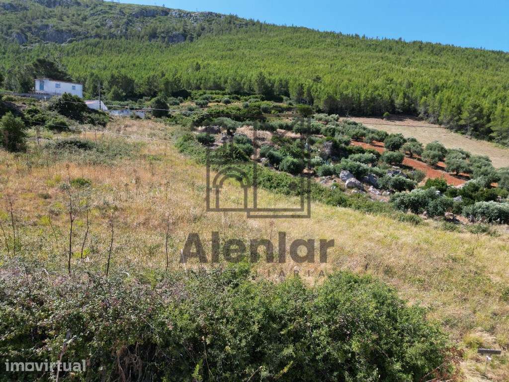 Terreno rústico com 3.440 m² junto à Serra de Montejunto - Natureza... - Grande imagem: 2/10