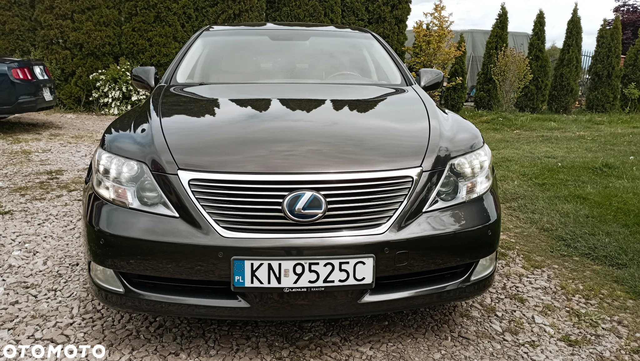 Lexus LS - 2