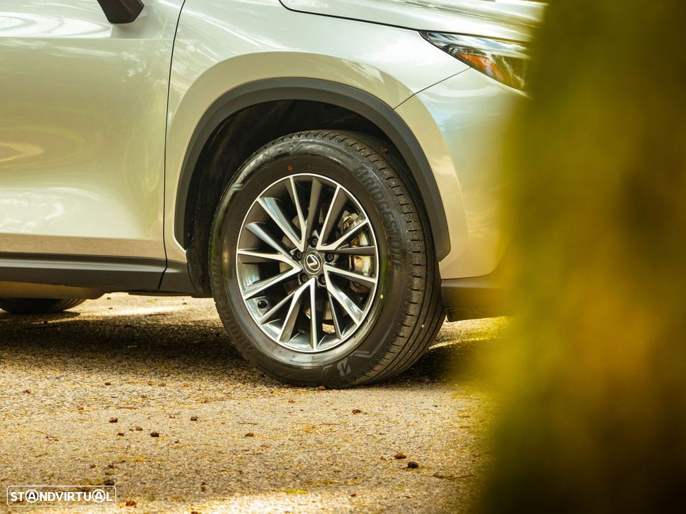 Lexus NX 350h Executive+ - 24