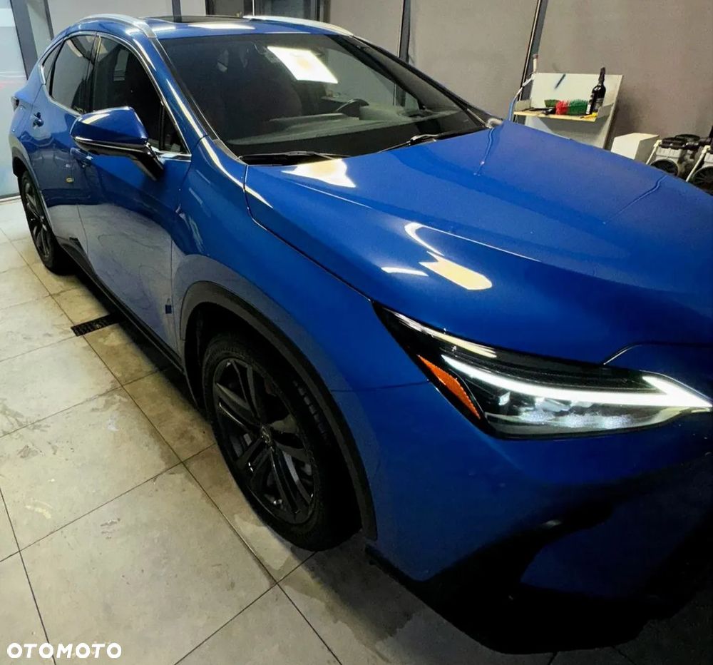 Lexus NX - 16