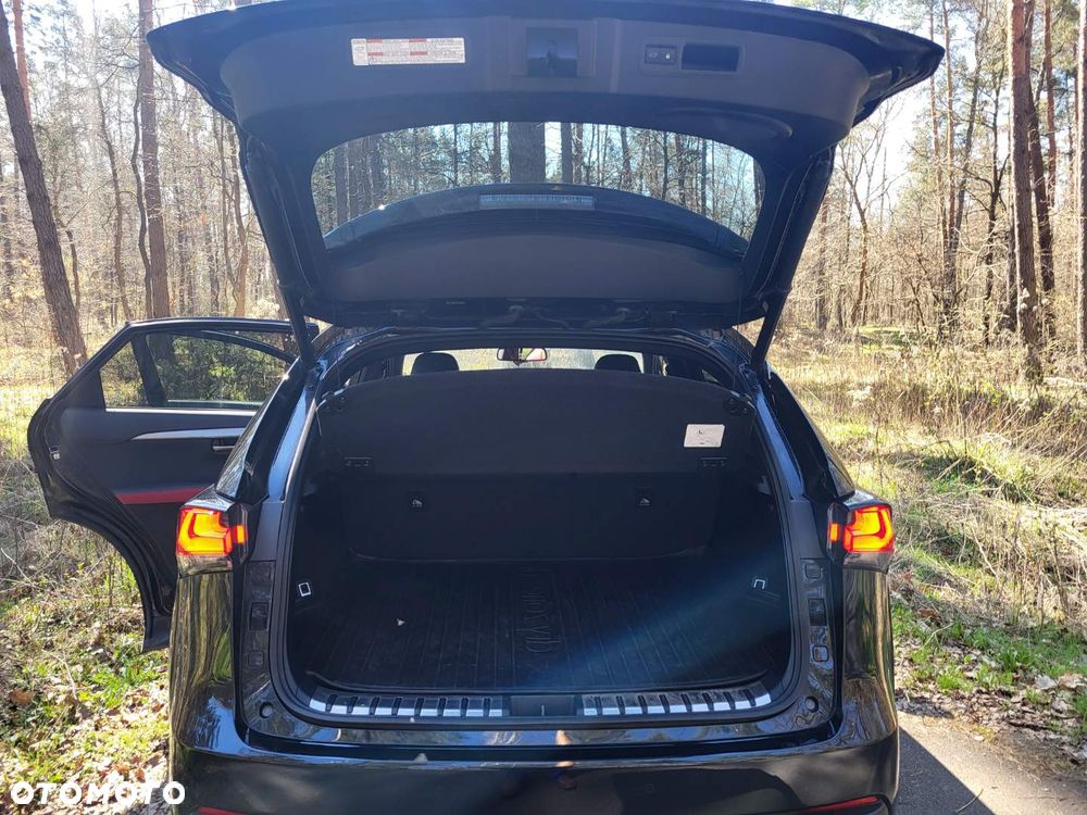 Lexus NX 300 GPF F Sport AWD - 6