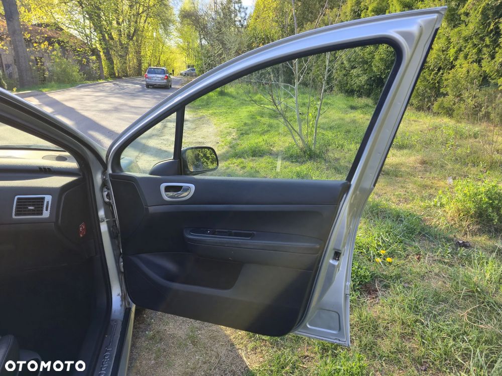 Peugeot 307 2.0 Premium - 18
