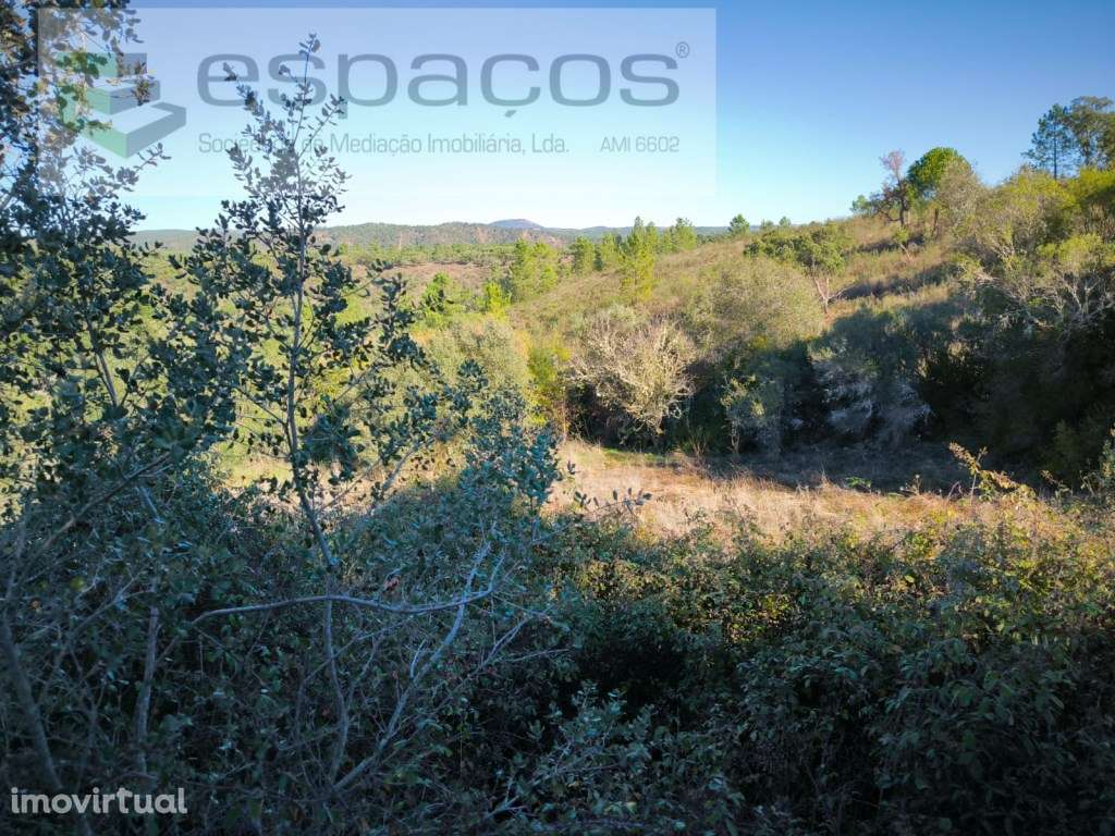 Terrenos com poços - Lentiscais - Grande imagem: 5/19