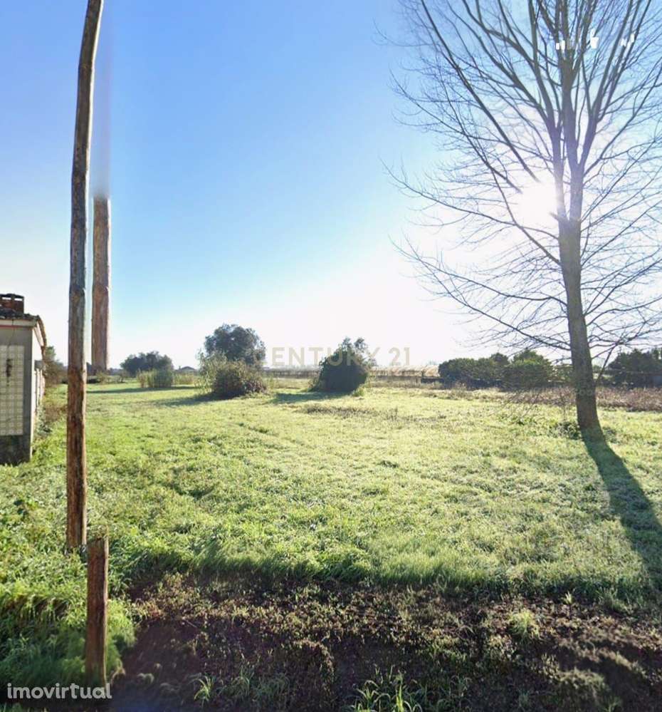 Terreno Urbanizável em Localização Privilegiada - Grande imagem: 4/4