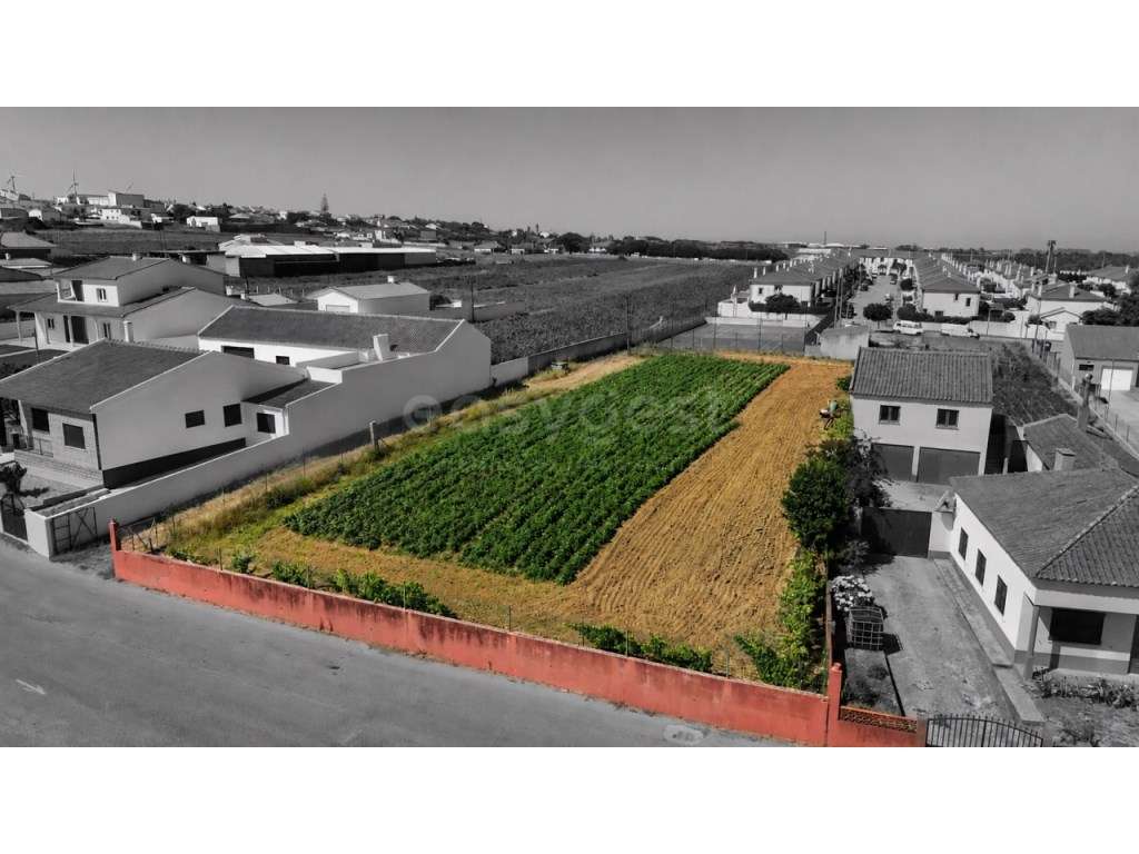 Terreno de Excelência no Coração da Vila - Grande imagem: 2/7