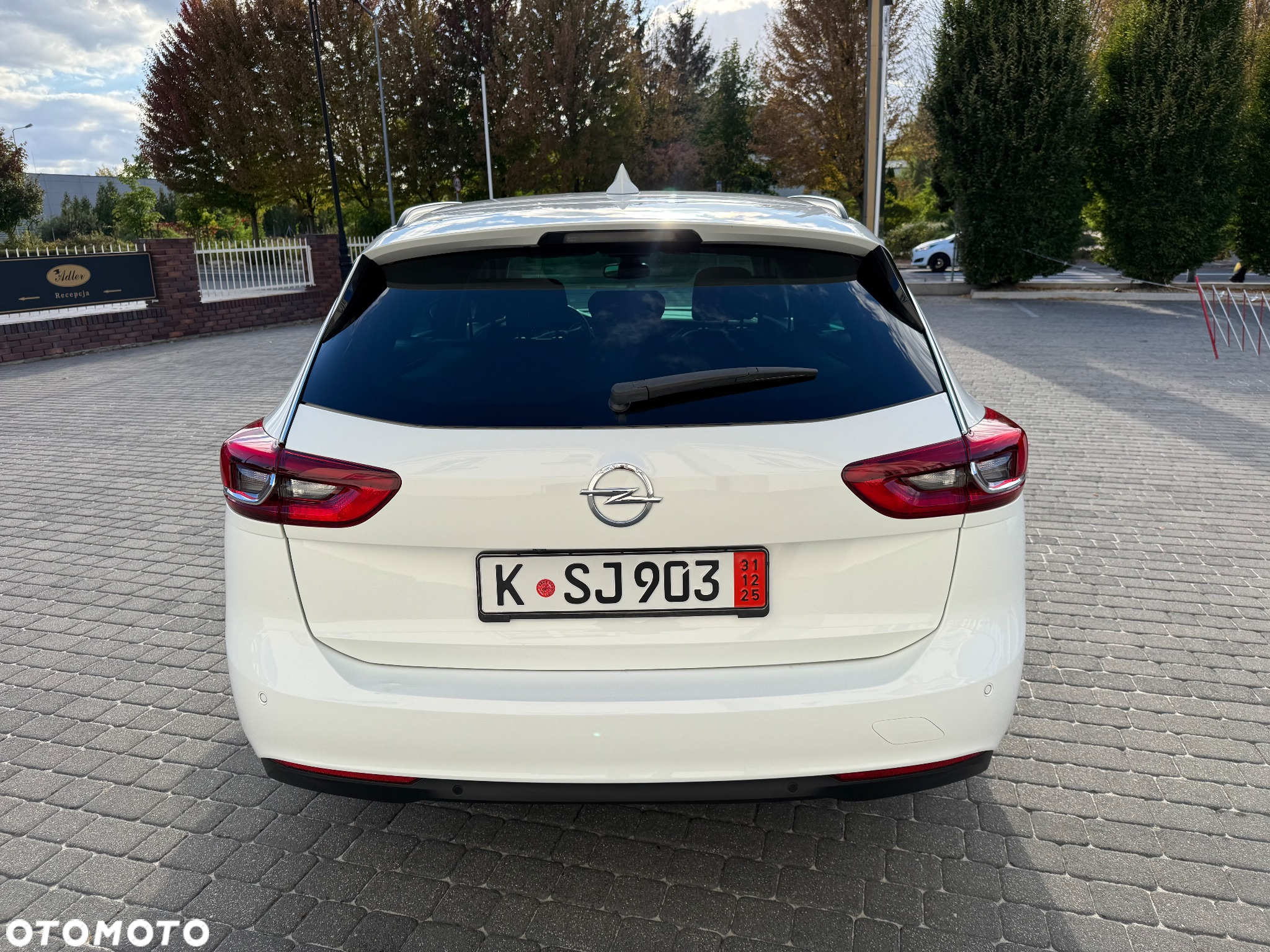 Opel Insignia 2.0 CDTI Exclusive S&S - 10