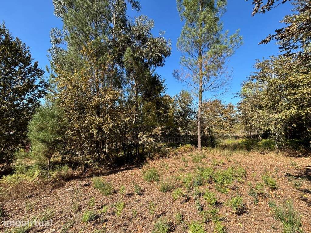 Terreno Agrícola para Venda em Friande, Póvoa de Lanhoso - Grande imagem: 2/31