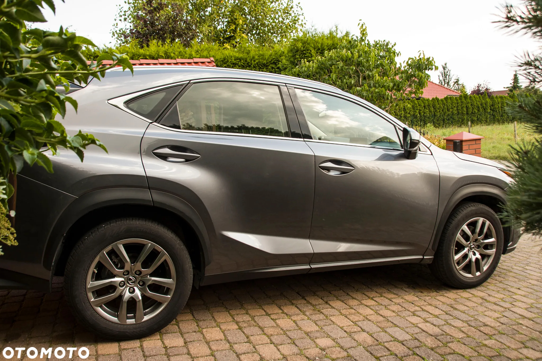 Lexus NX 300 Elegance Optimum AWD - 9