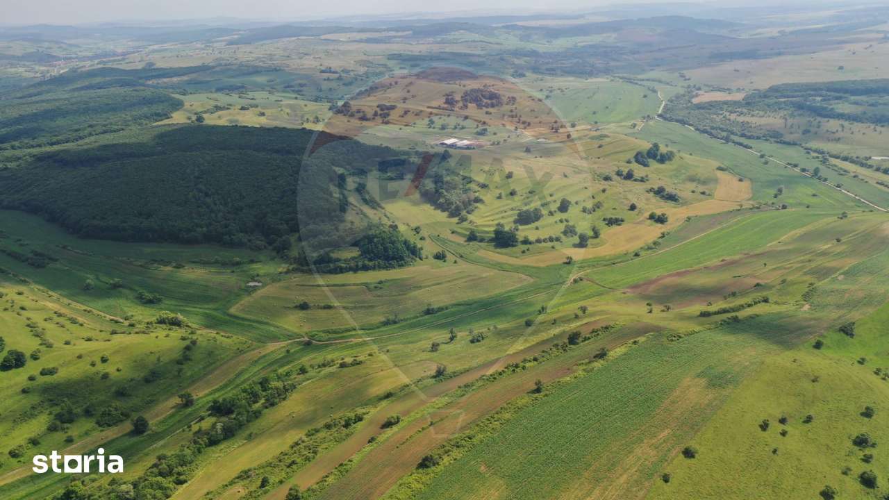 INVESTITIE REZILIENTA 300 HA Teren de vanzare in Zlagna Sibiu - Imagine principală: 2/4