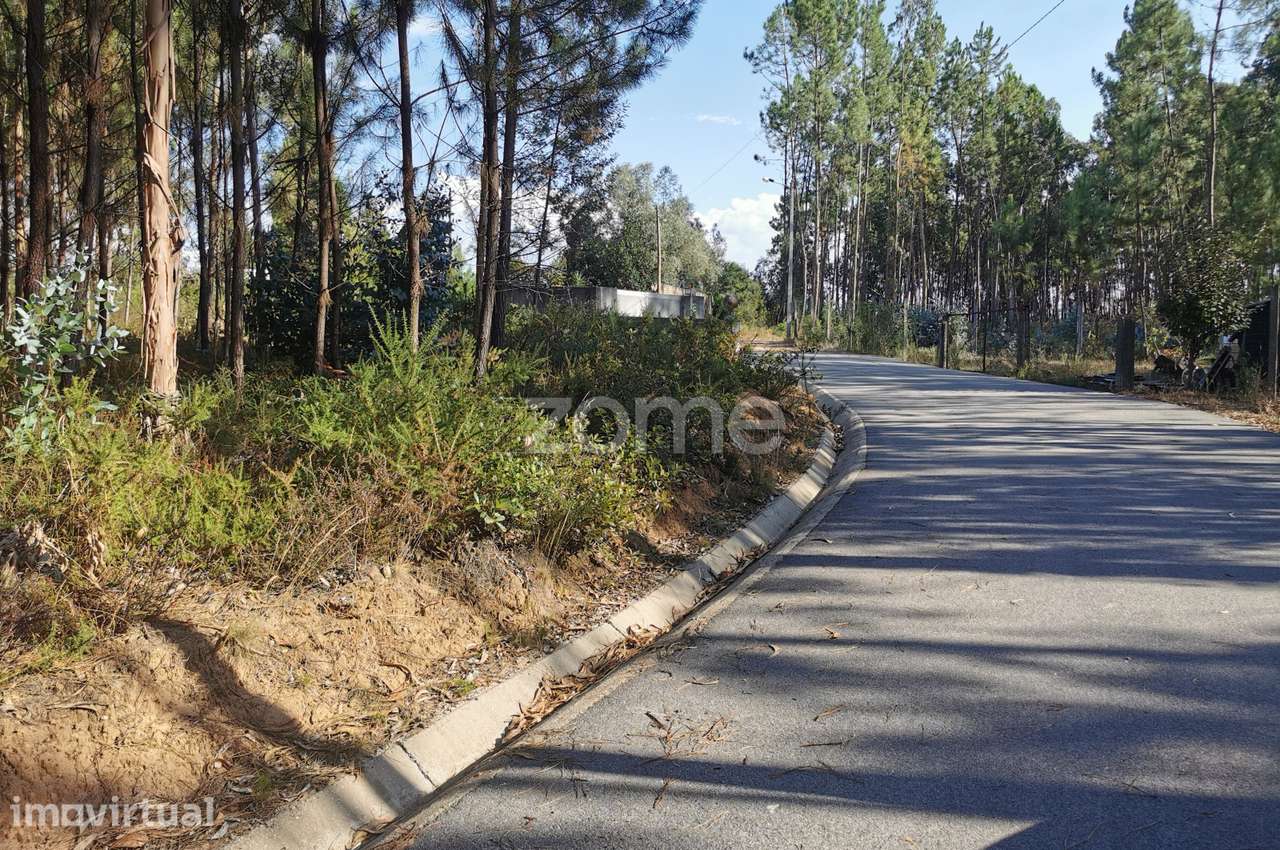 Terreno, acesso betuminoso, viabilidade construtiva, Recardães, Águ... - Grande imagem: 4/21