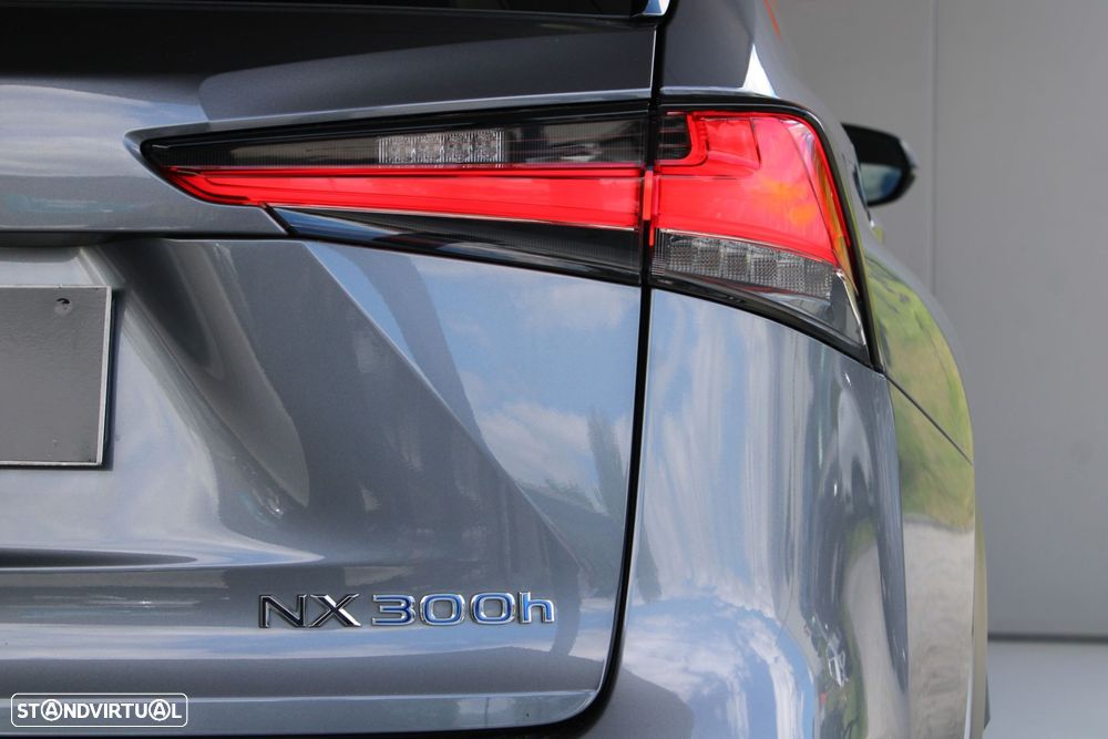 Lexus NX 300h Executive - 41