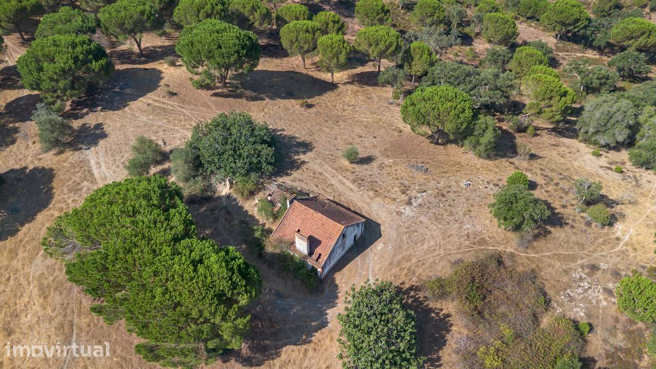 Herdade 176.6 ha, Montemor-o-Novo - Grande imagem: 4/25