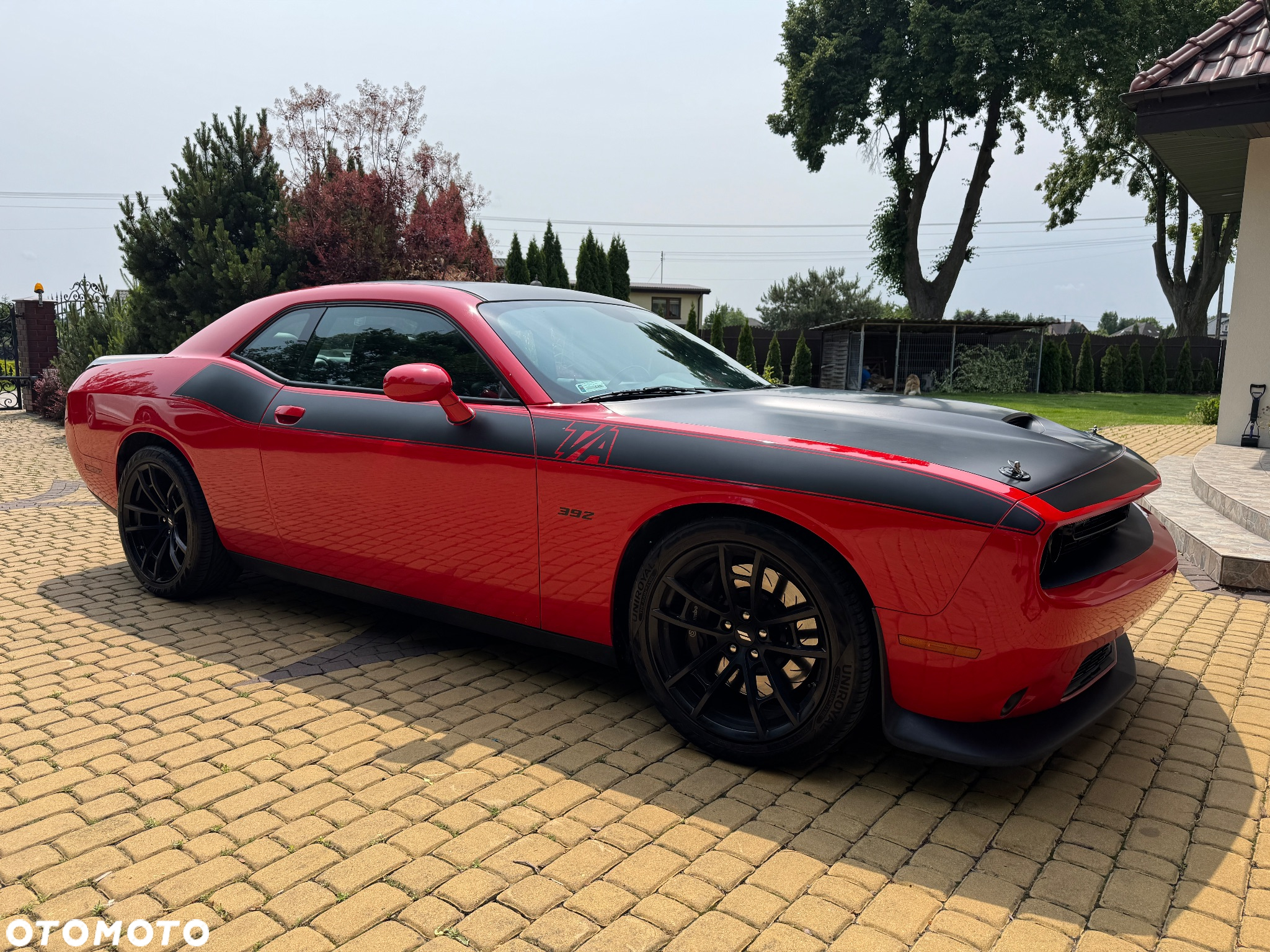 Dodge Challenger Automatik SRT 392 - 5