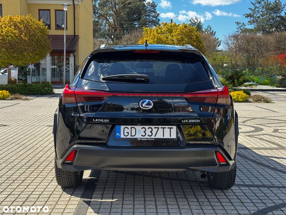 Lexus UX - 7