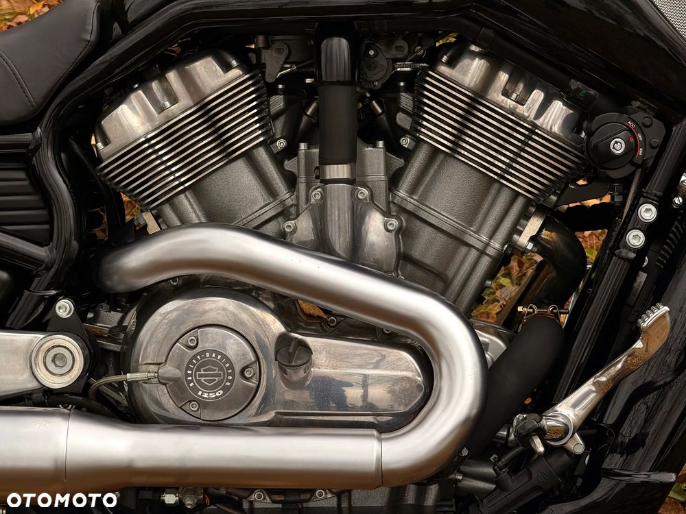 Harley-Davidson V-Rod Muscle - 17