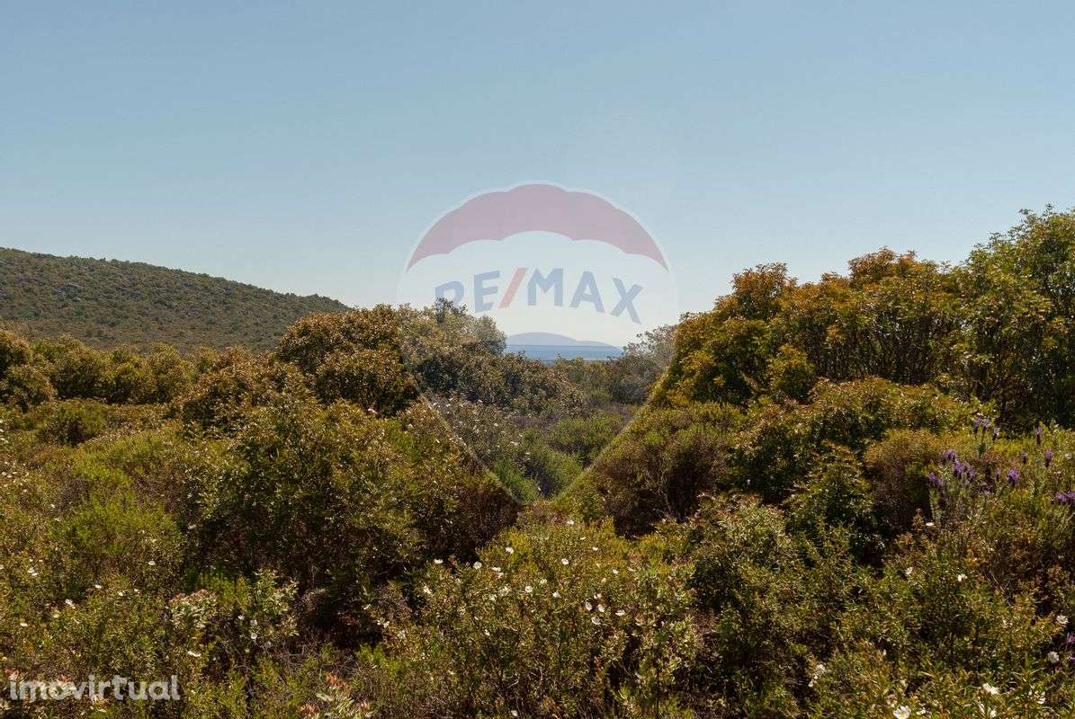 Terreno  para venda - Grande imagem: 5/10