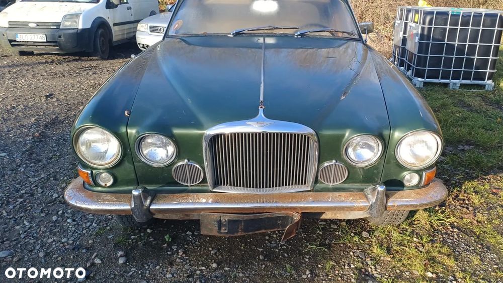 Jaguar Inny - 9