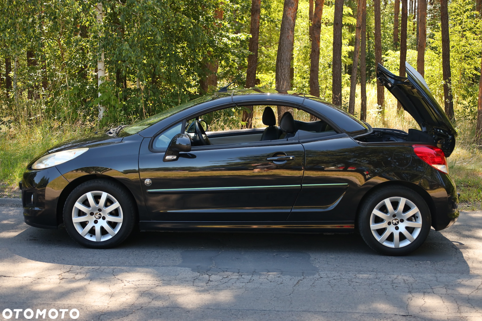 Peugeot 207 CC 155 THP Roland Garros - 17