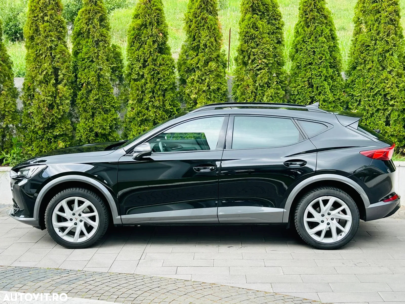Cupra Formentor 2.0 TDI 4DRIVE DSG - 19