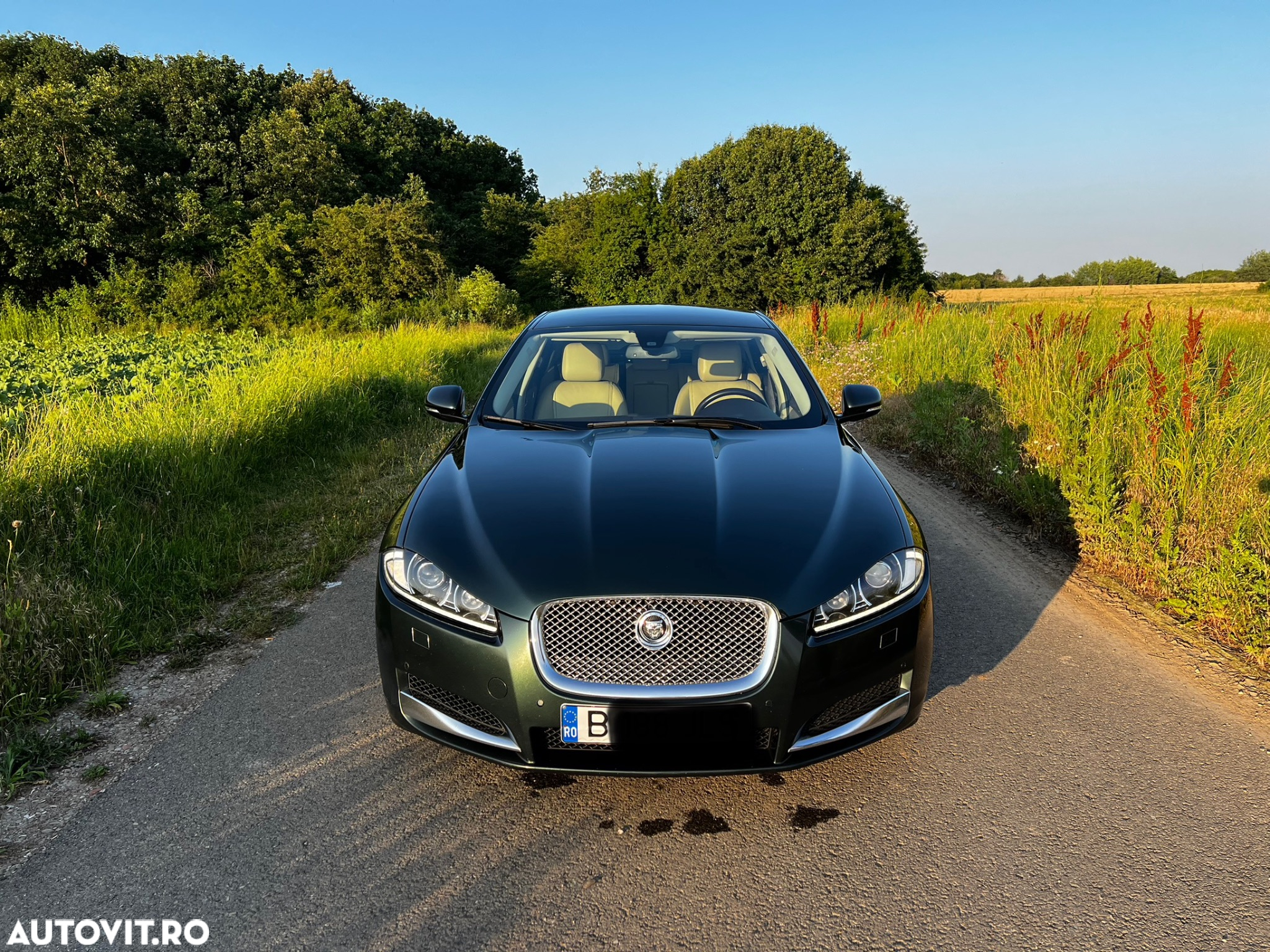 Jaguar XF 2.2D Luxury - 18
