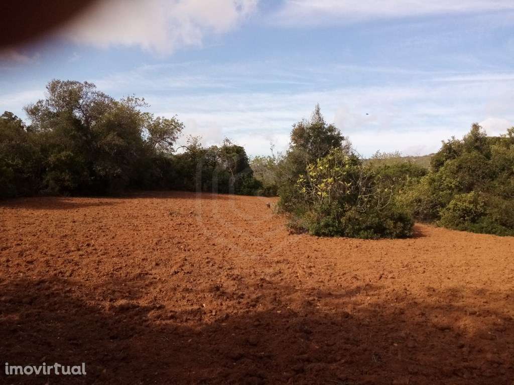 Lote de terreno rústico com 4500m2, Loulé, Algarve - Grande imagem: 3/13