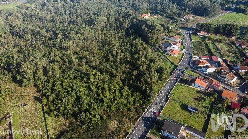 Terreno em Beduído e Veiros - Grande imagem: 4/6