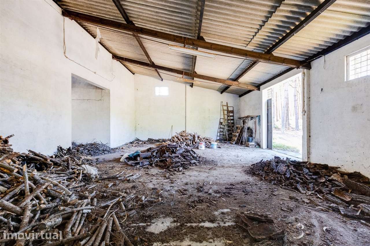 Terreno com 12.960 m² com Potencial Urbanístico - Fanhais | Nazaré - Grande imagem: 5/41