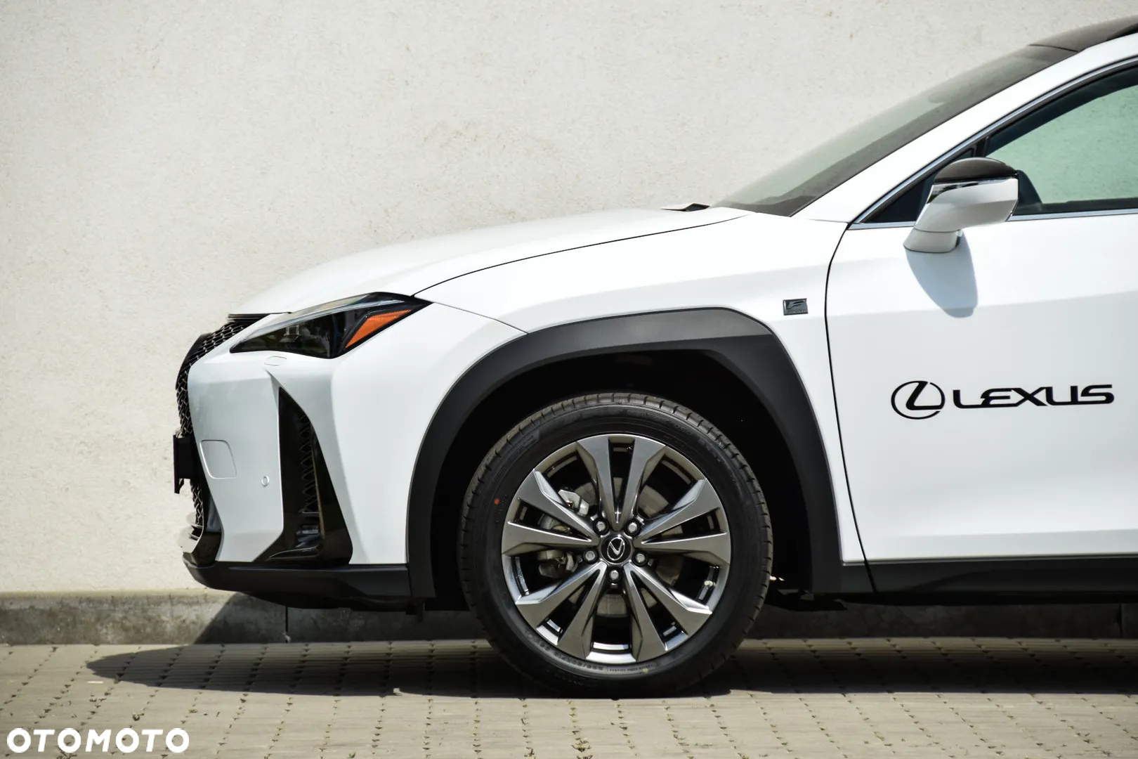 Lexus UX 250h GPF F Sport Design+ 2WD - 13
