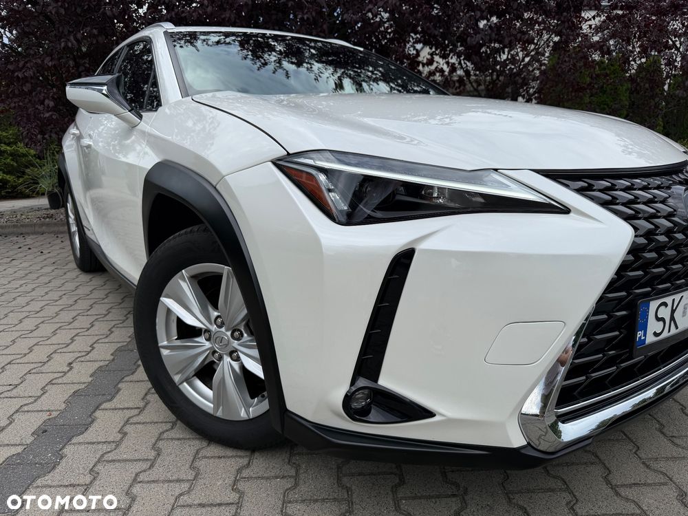 Lexus UX 250h F Sport 2WD - 10