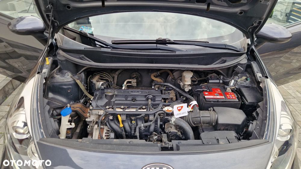 Kia Rio - 28