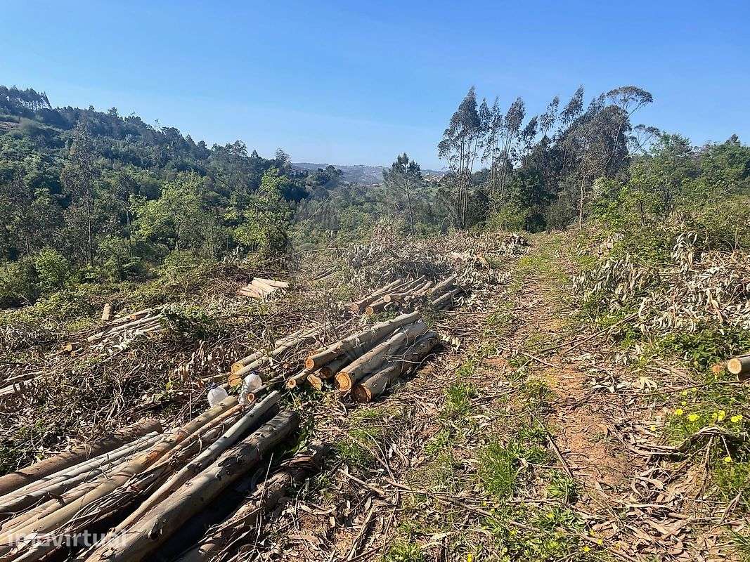 Terreno  para venda - Grande imagem: 5/8