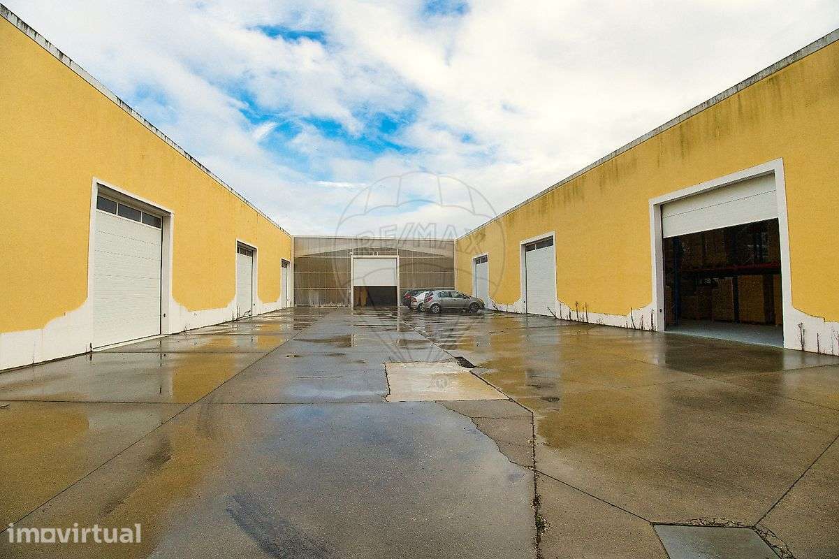 Armazém  para arrendamento - Grande imagem: 3/13