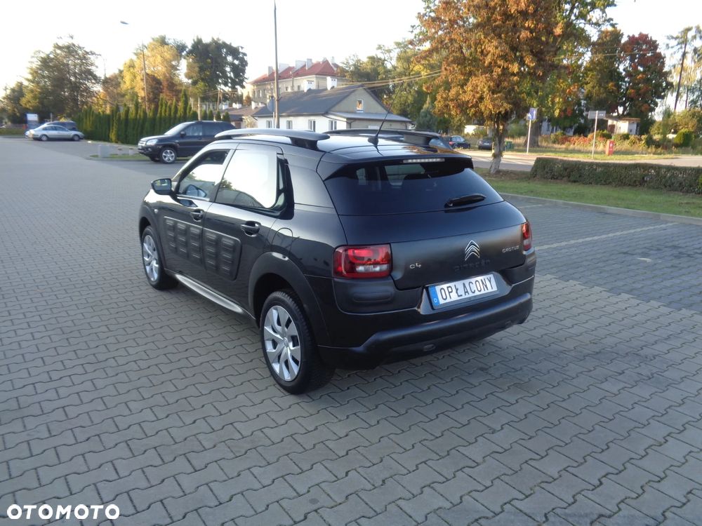 Citroën C4 Cactus PureTech 82 Shine Edition - 16