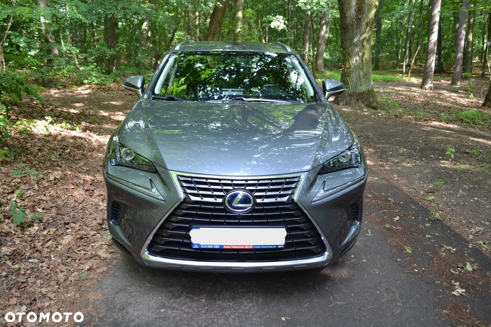 Lexus NX 300h - 8